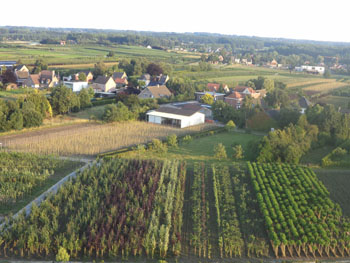 Luchtfoto boomkwekerij